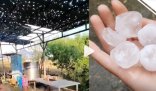 廣西河池下雞蛋大冰雹有狗被砸死 實(shí)在太嚇人了