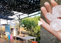 廣西河池下雞蛋大冰雹有狗被砸死 實(shí)在太嚇人了