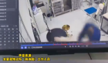 江蘇一寵物醫(yī)院被曝粗暴摔打?qū)櫸锕?實(shí)在太恐怖了