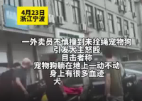 外賣員撞死未牽繩寵物狗被打 為什么引爭議？