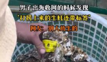 男子出海打撈上來的生蠔帶商品標(biāo)簽 到底是什么情況？
