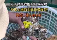 男子出海打撈上來的生蠔帶商品標(biāo)簽 到底是什么情況？
